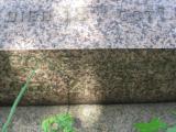 image of grave number 443641